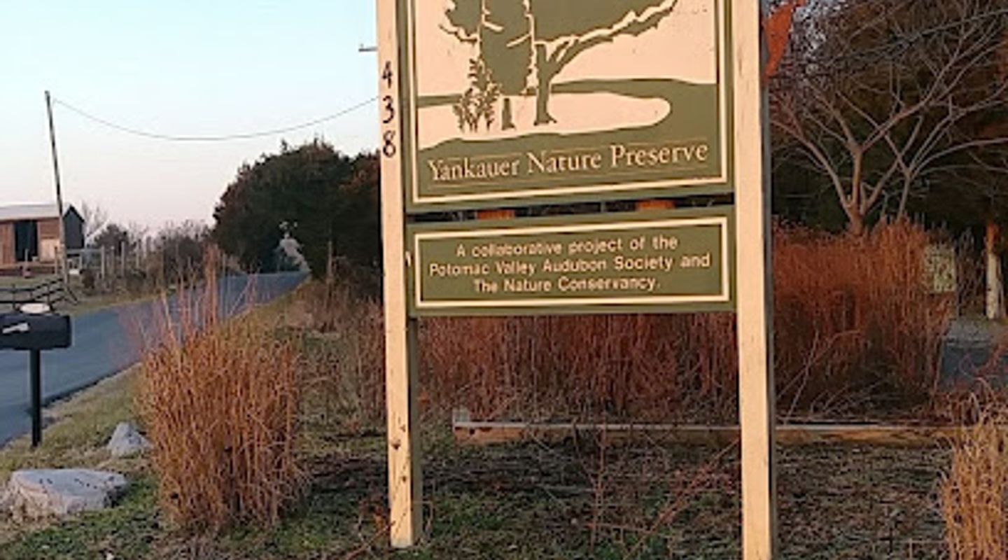 Yankauer Nature Preserve
