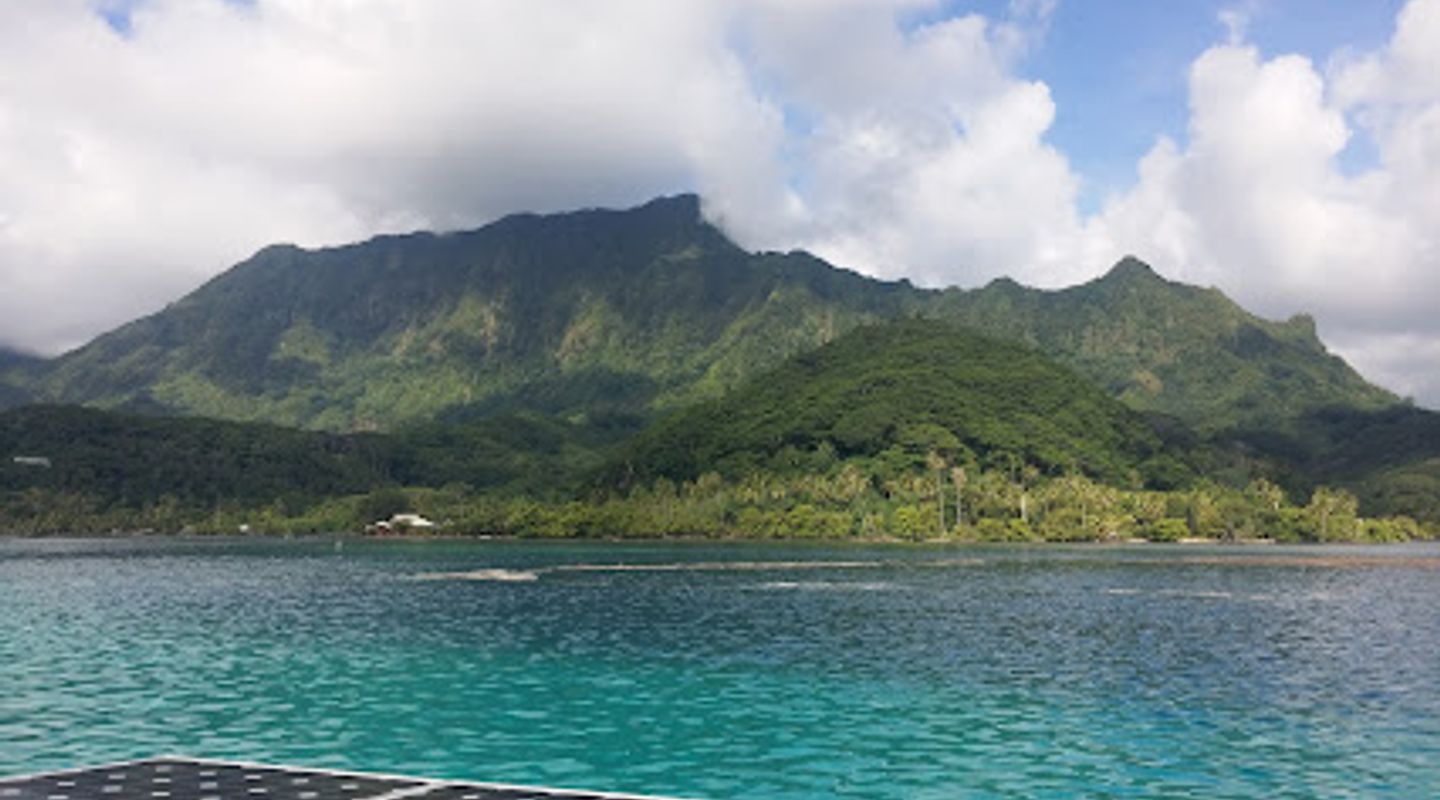 Background