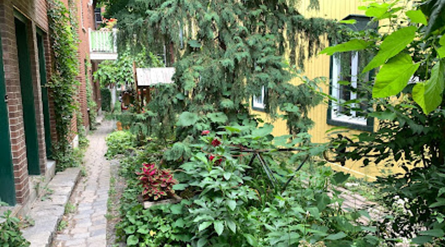 Rue Demers