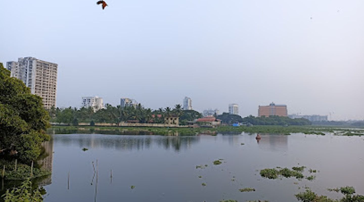 Background