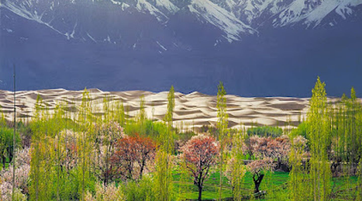 Background