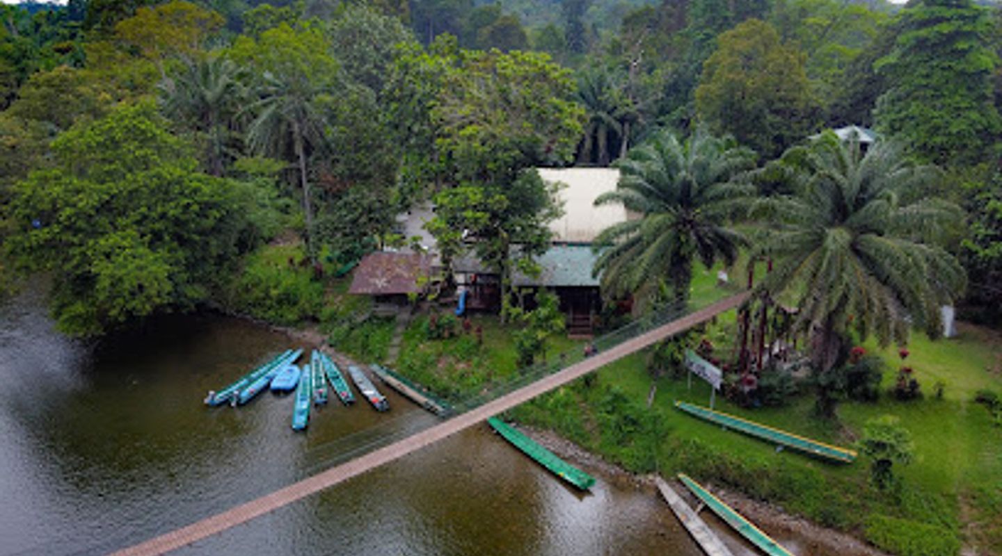 Freme Rainforest Lodge