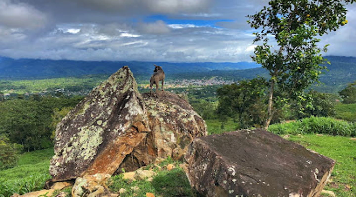 Background