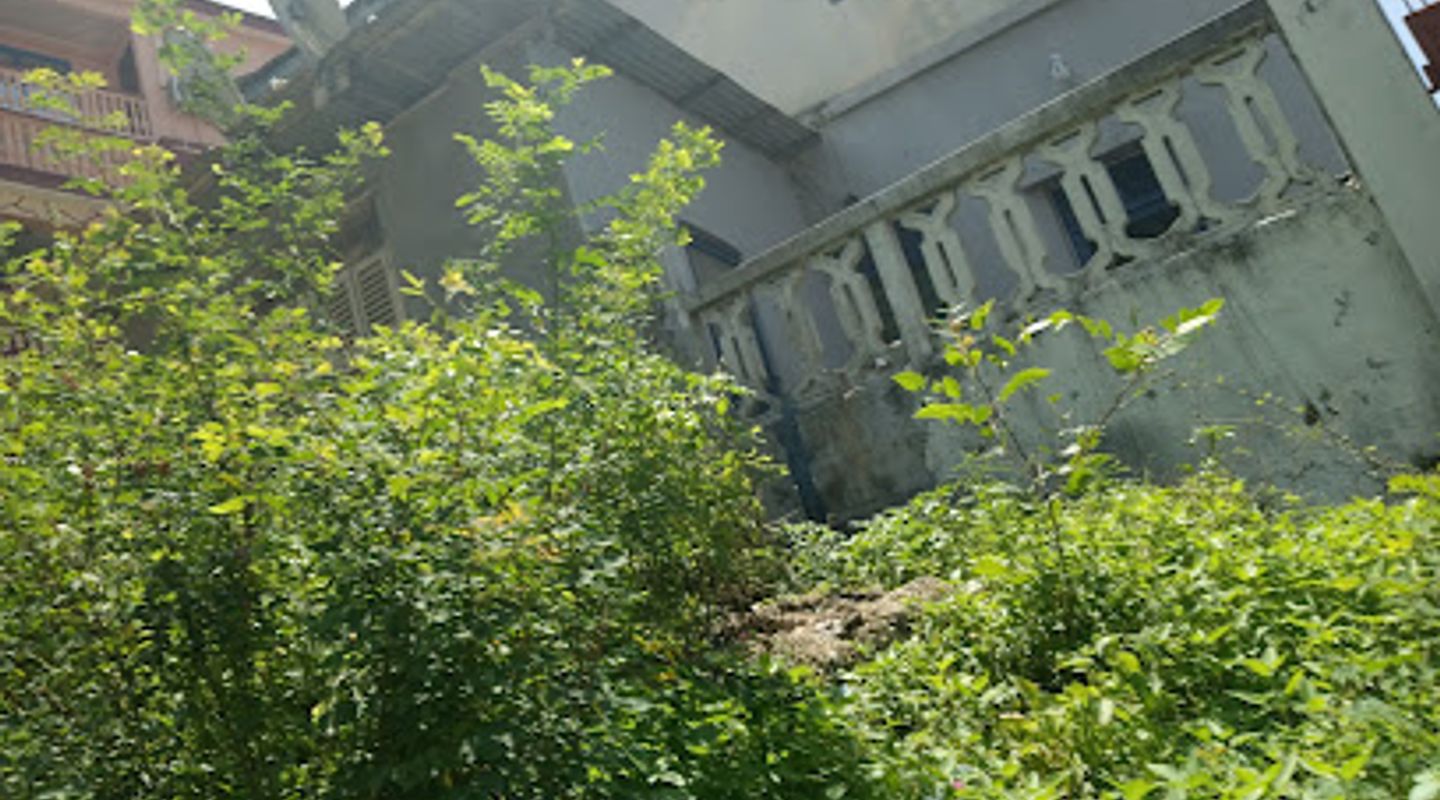 Background