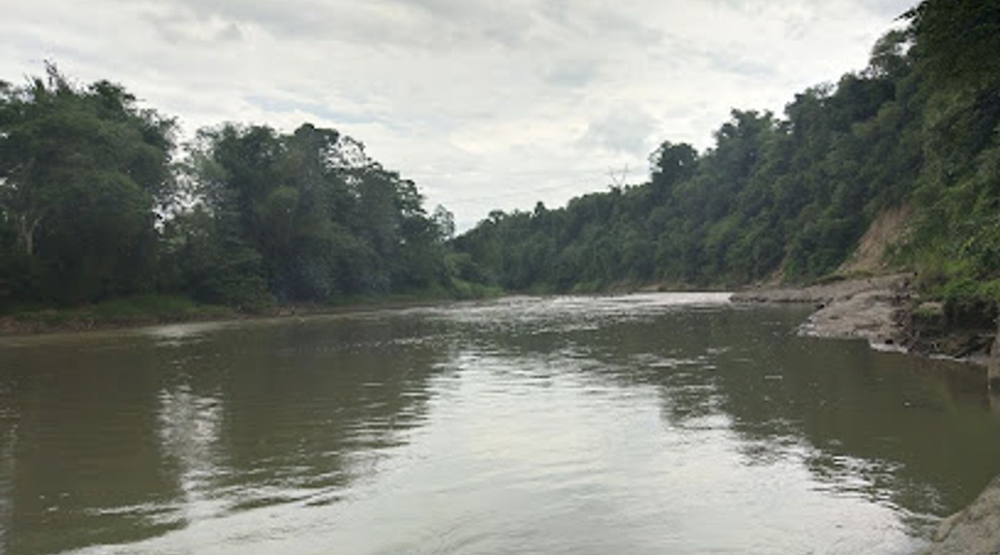 Davao River