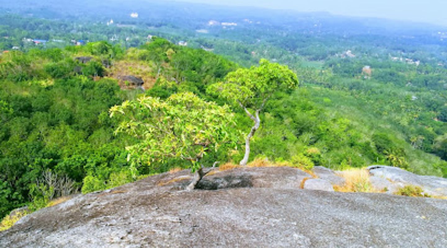 Background