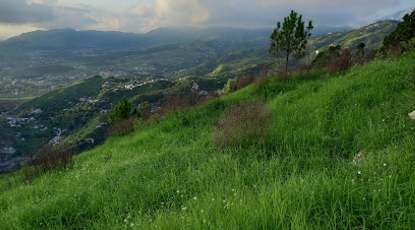 Background