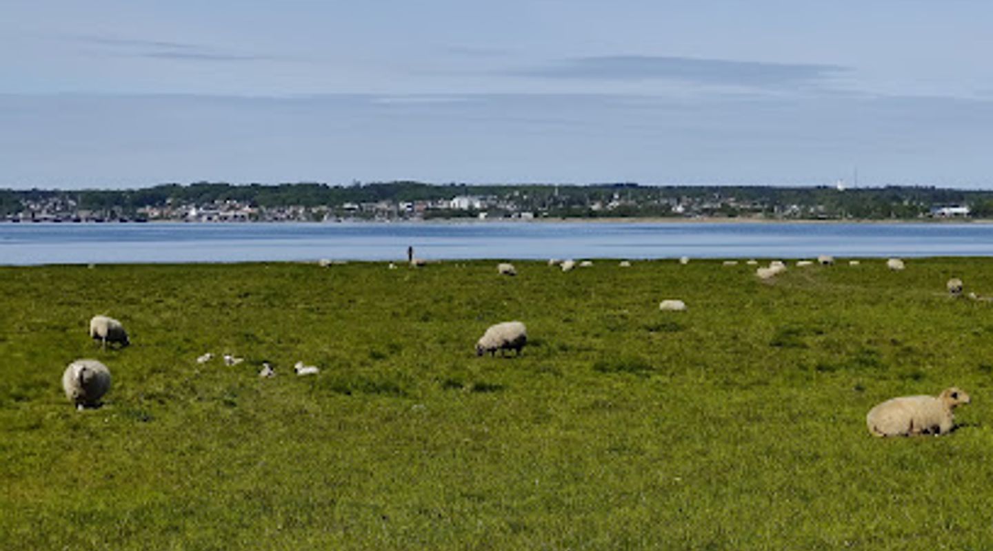 Havnø Gods
