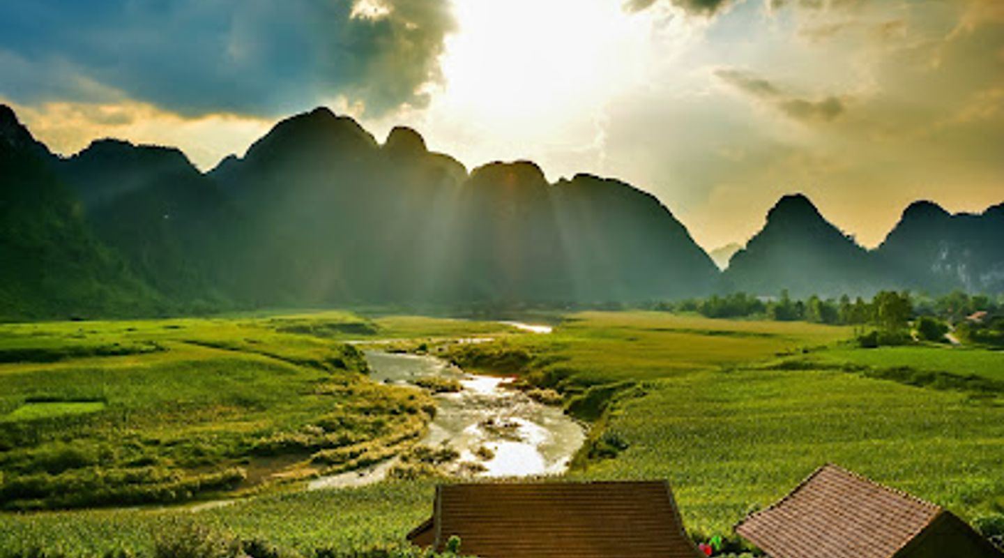 Background