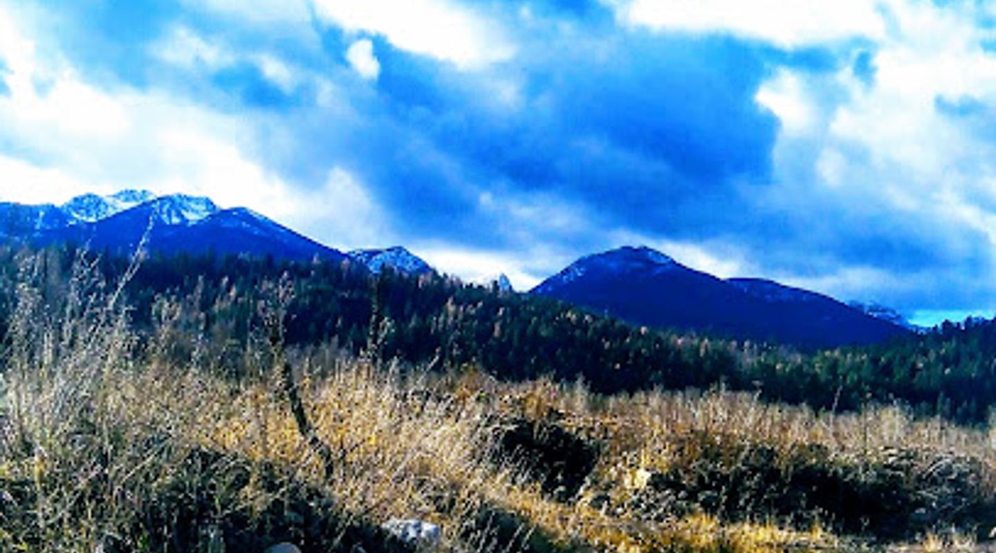 Background