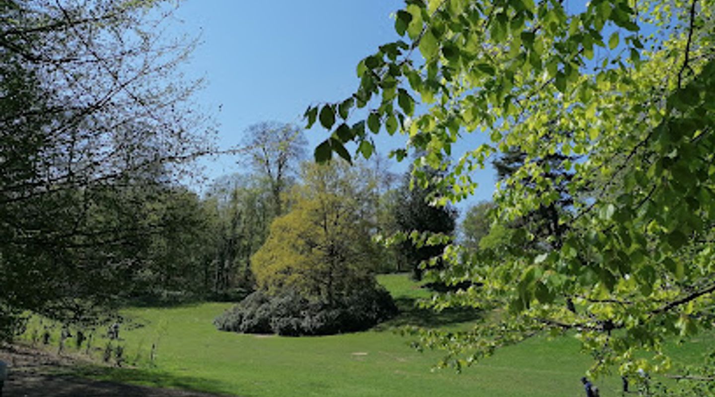 Background