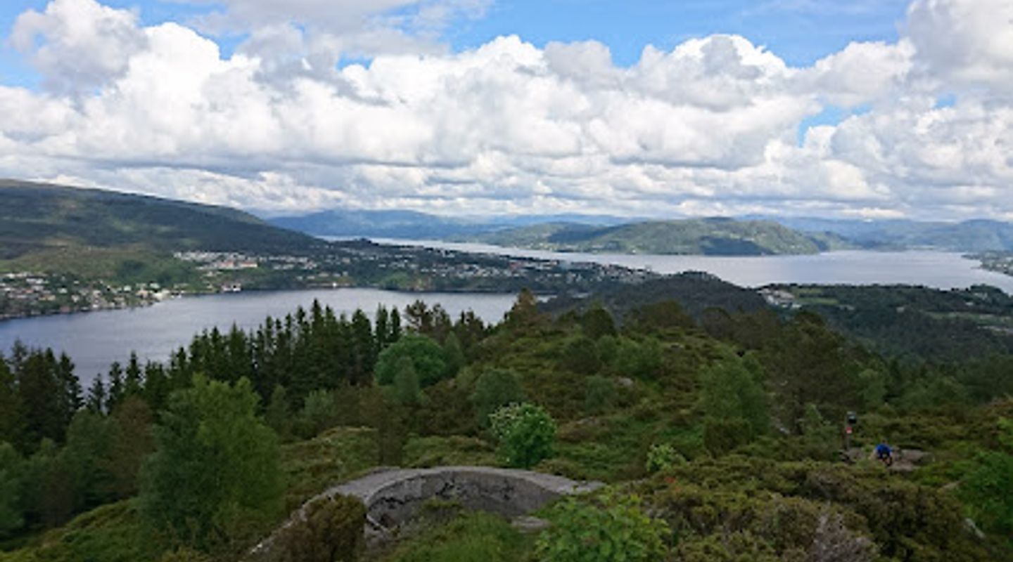 Background
