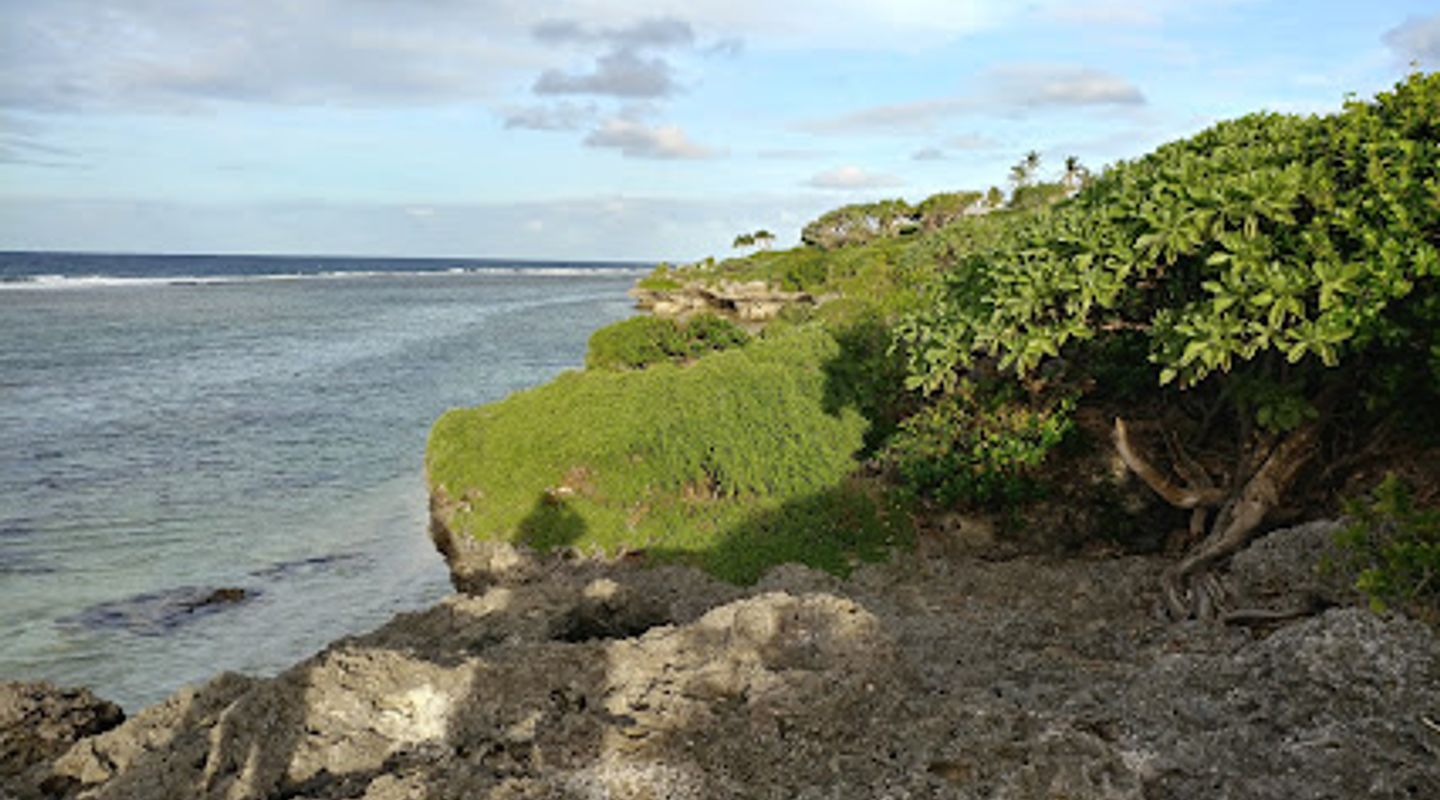 Background