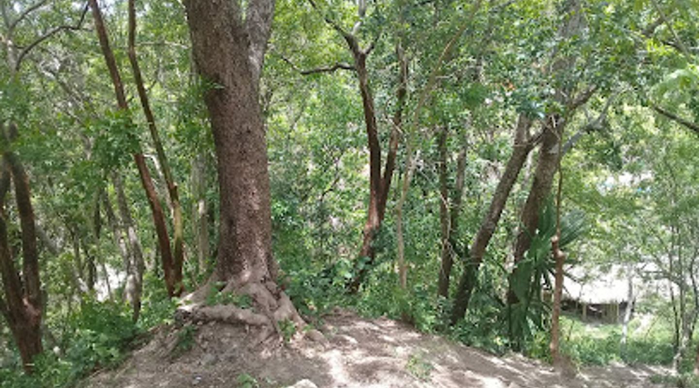 Background