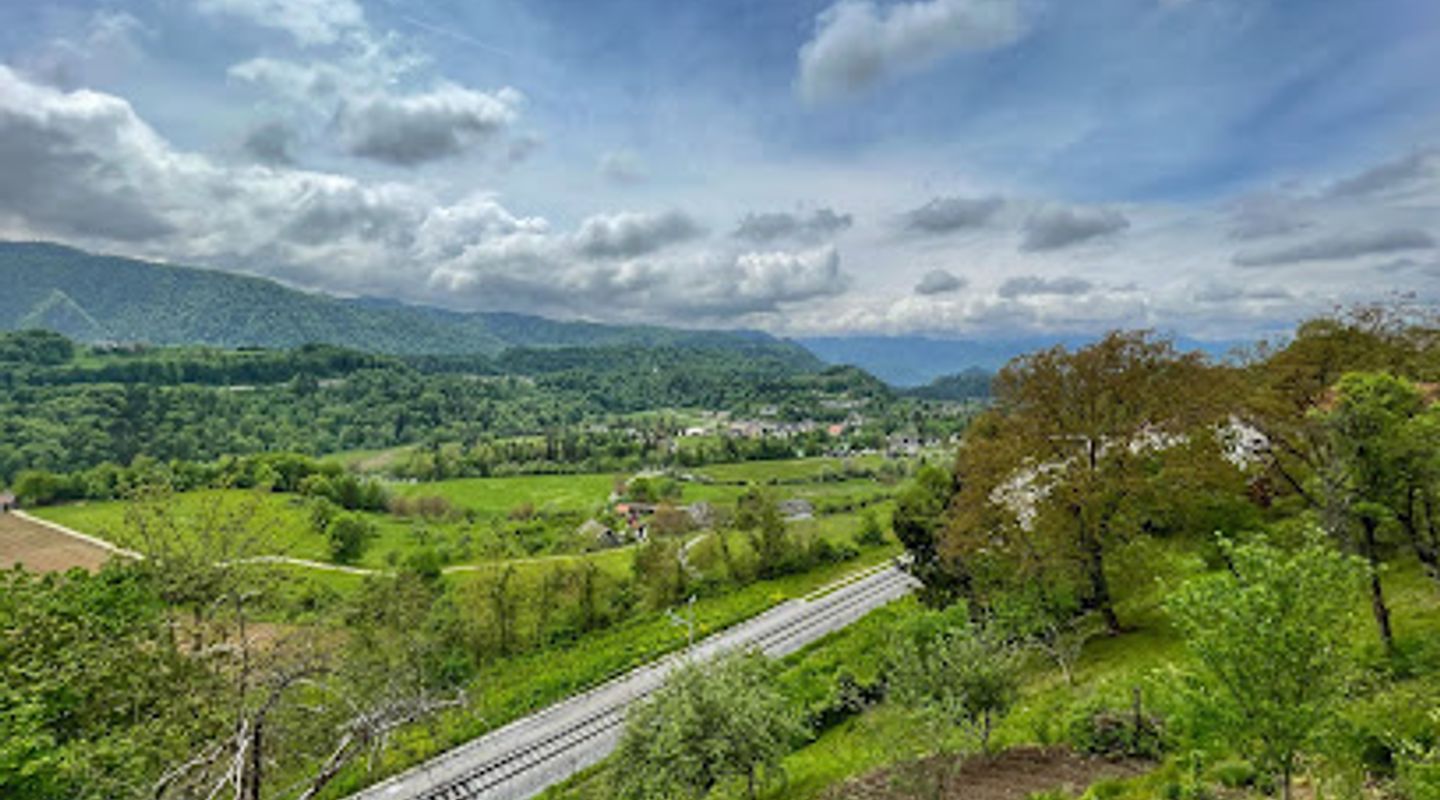 Background