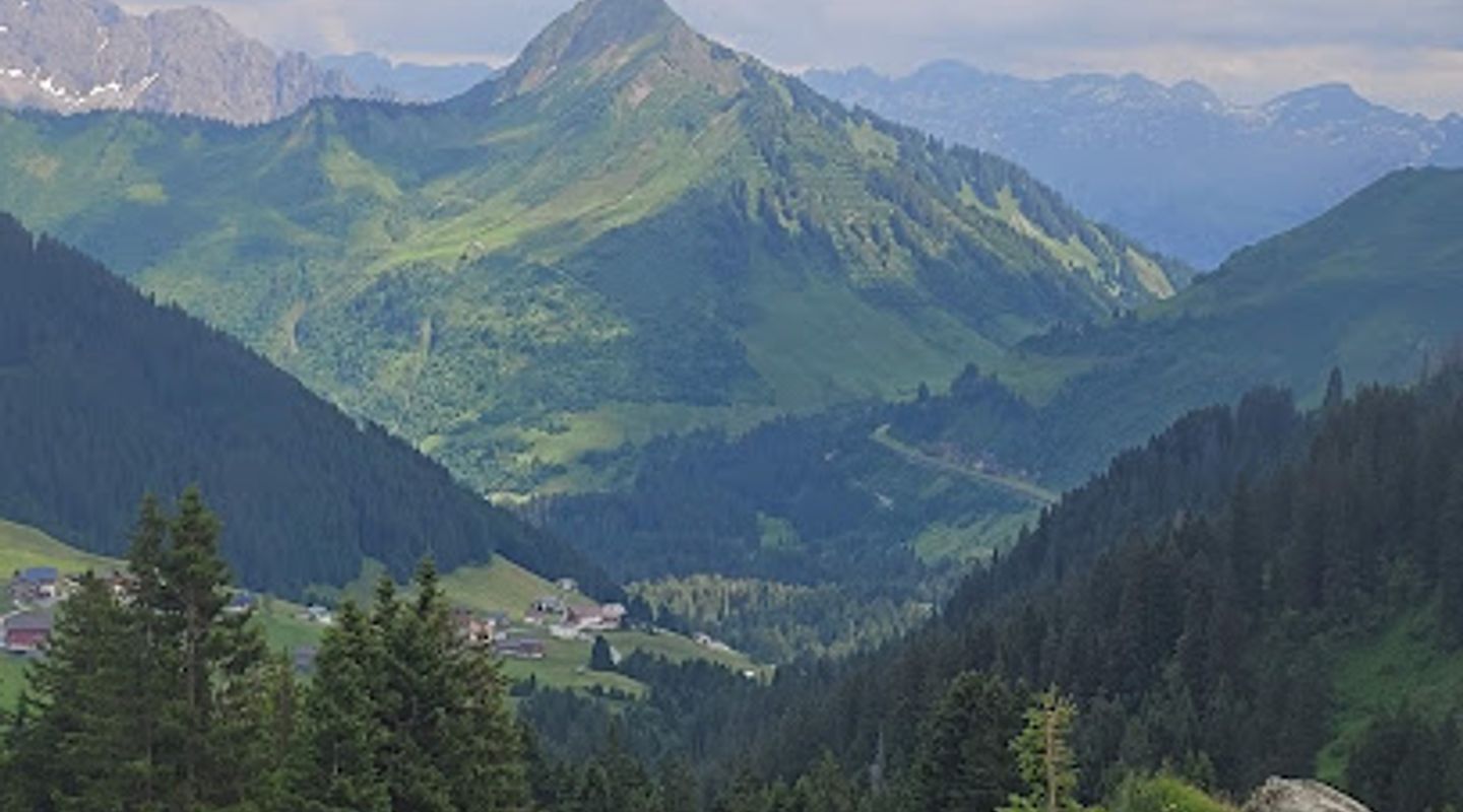 Background