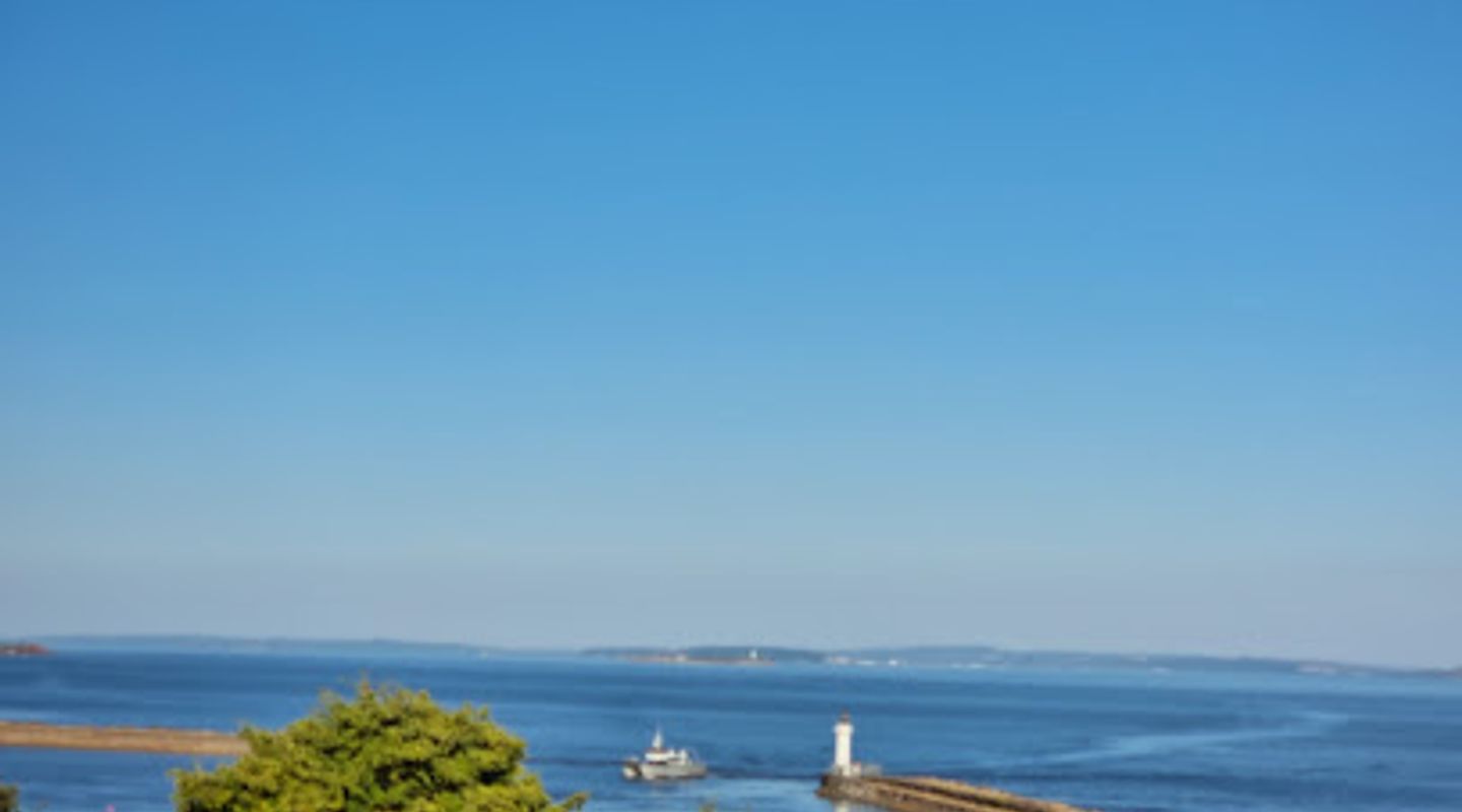 Jackson's Bay