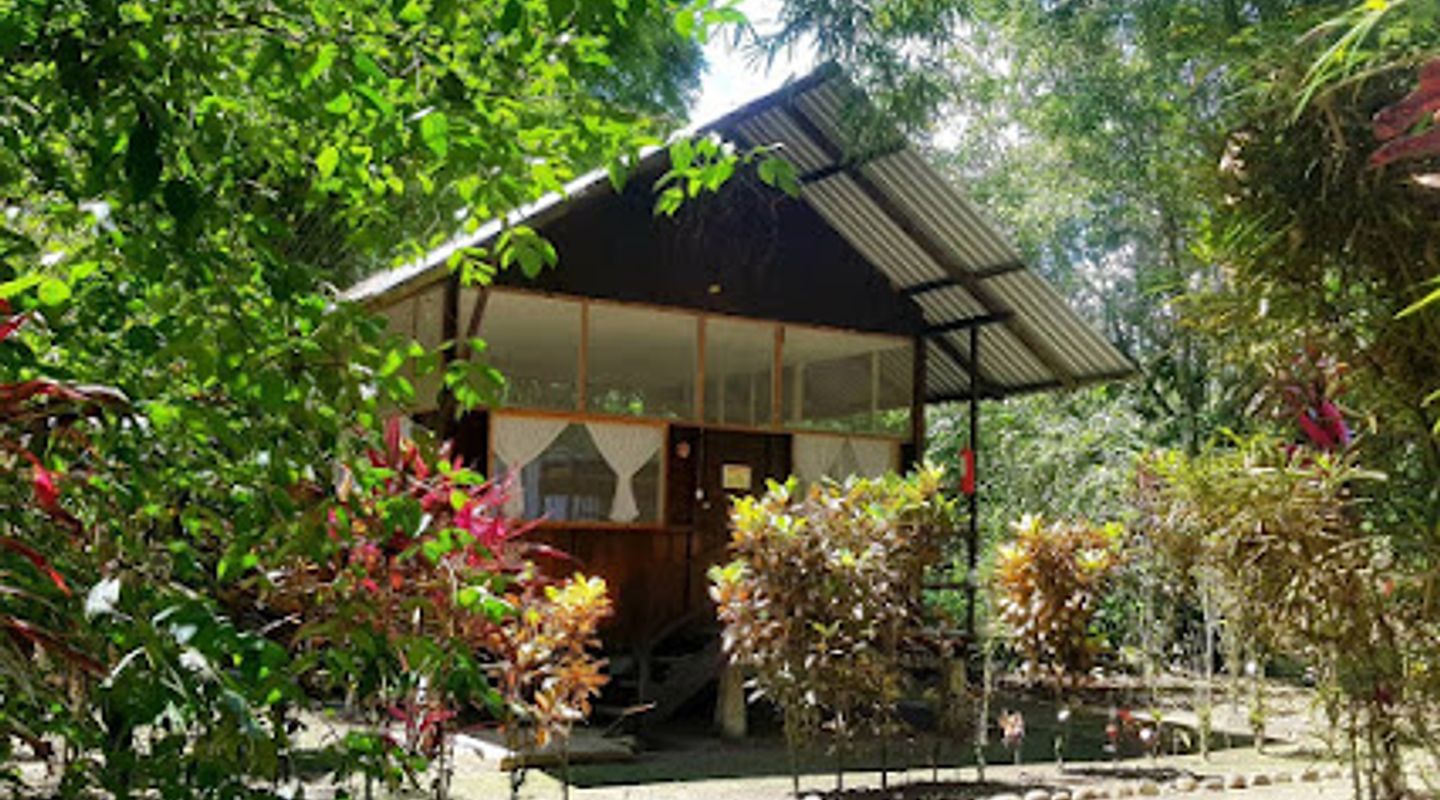 Background