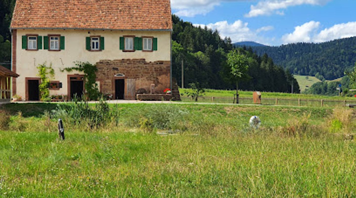 Background