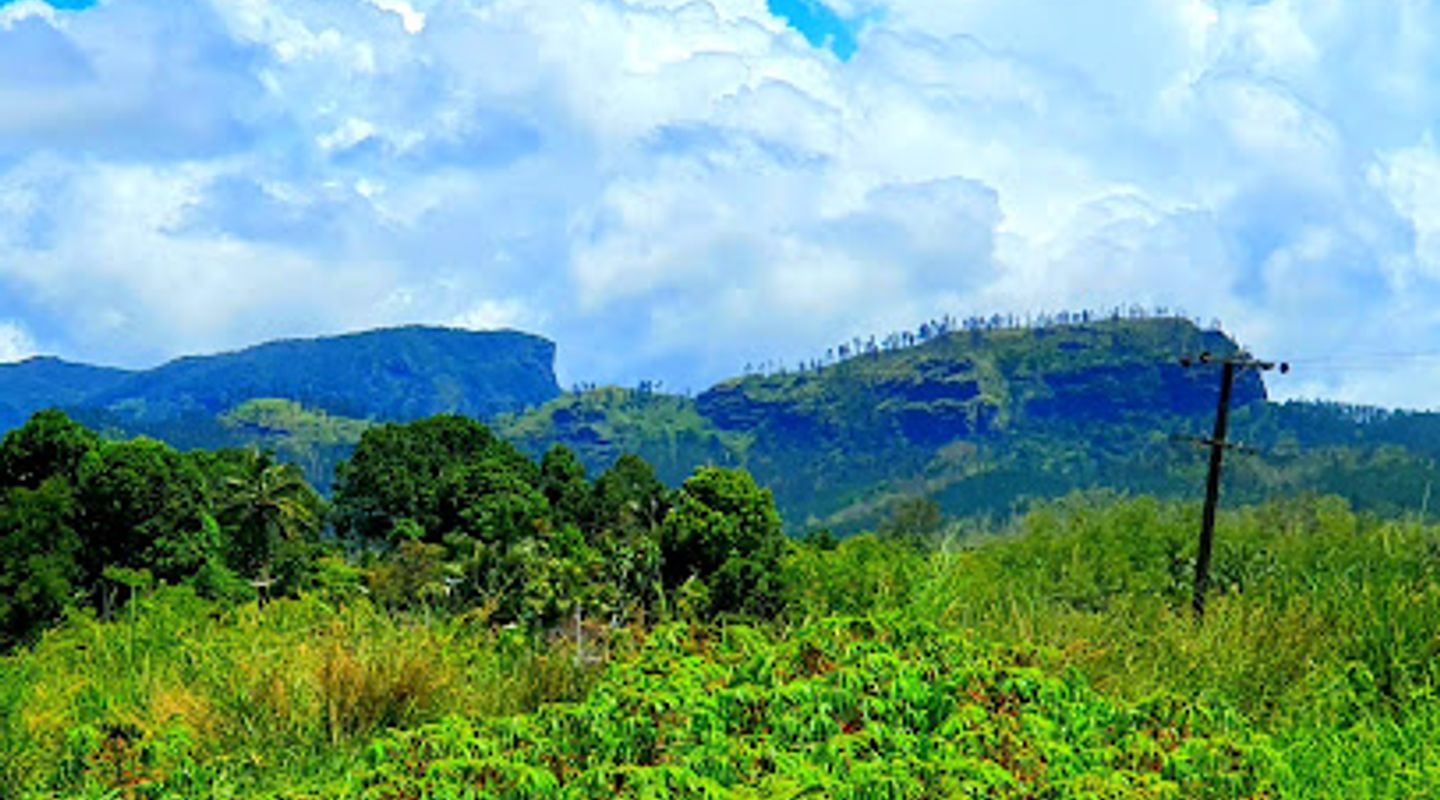 Background