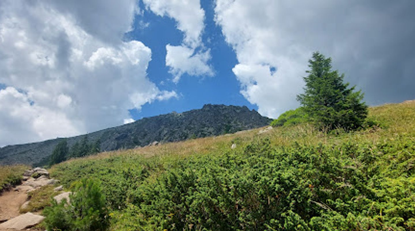 Background