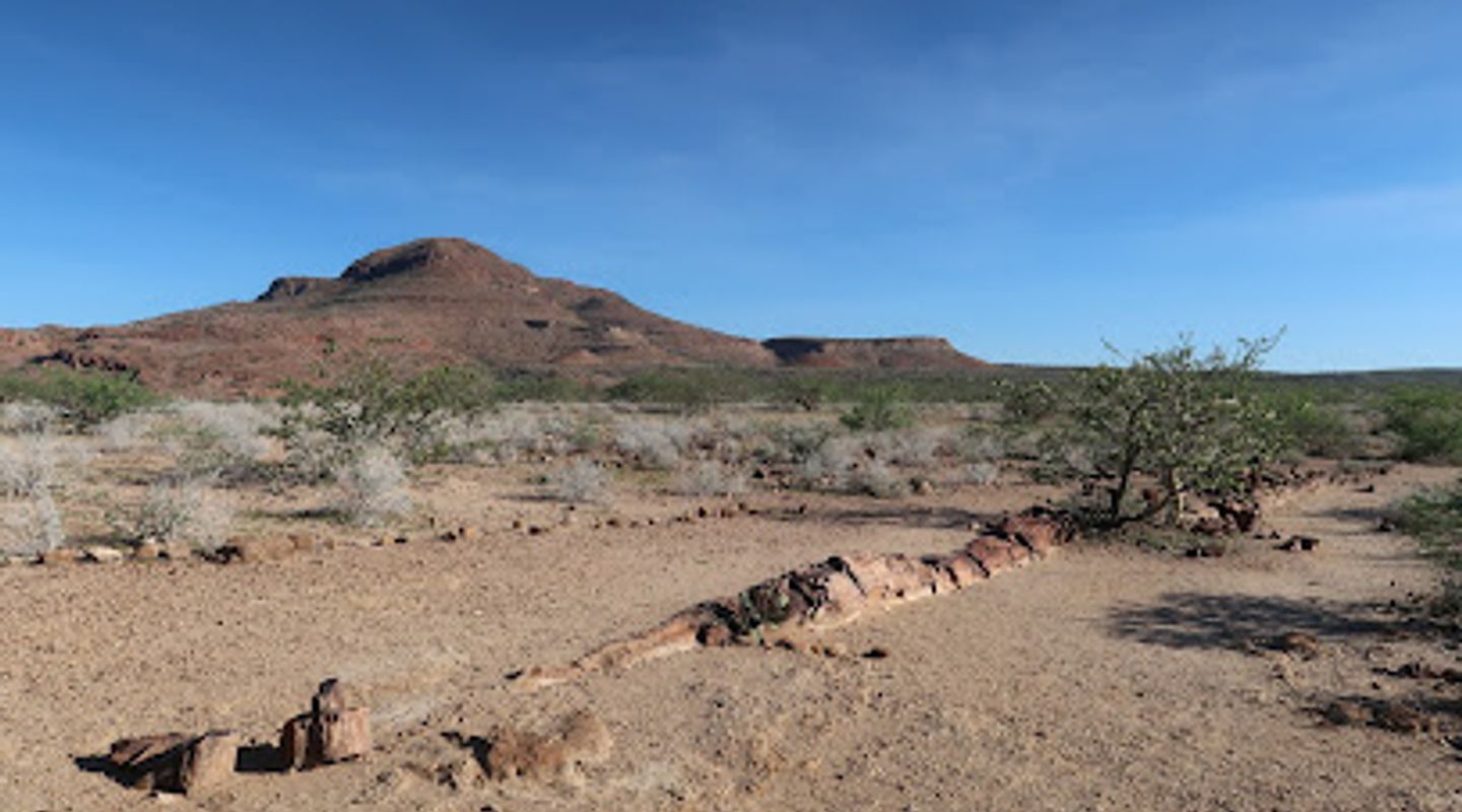 Petrified Forest