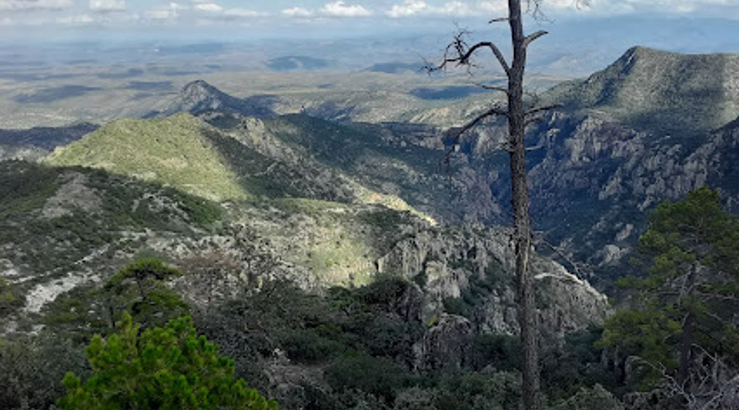 Sierra Madre Occidental