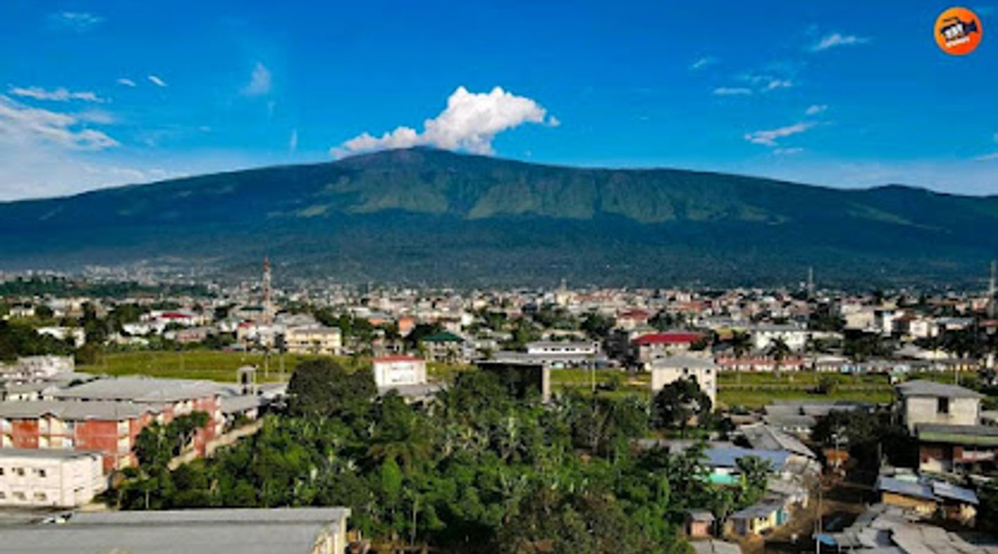 Mount Cameroon National Park