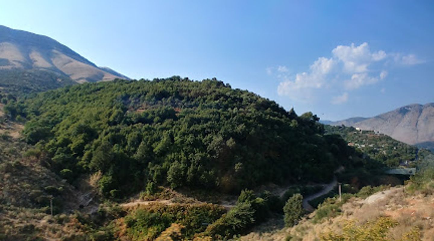Background