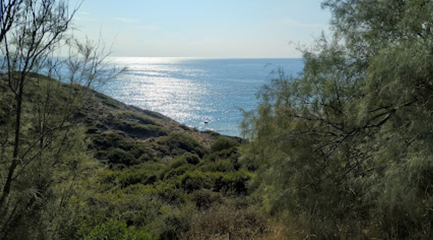 Ranti Forest Beach