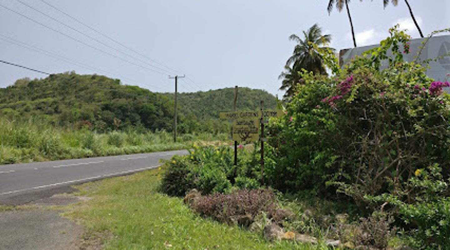 Background