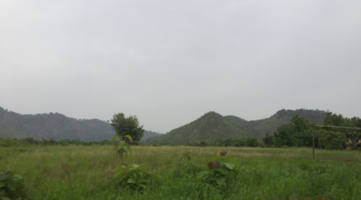 Background