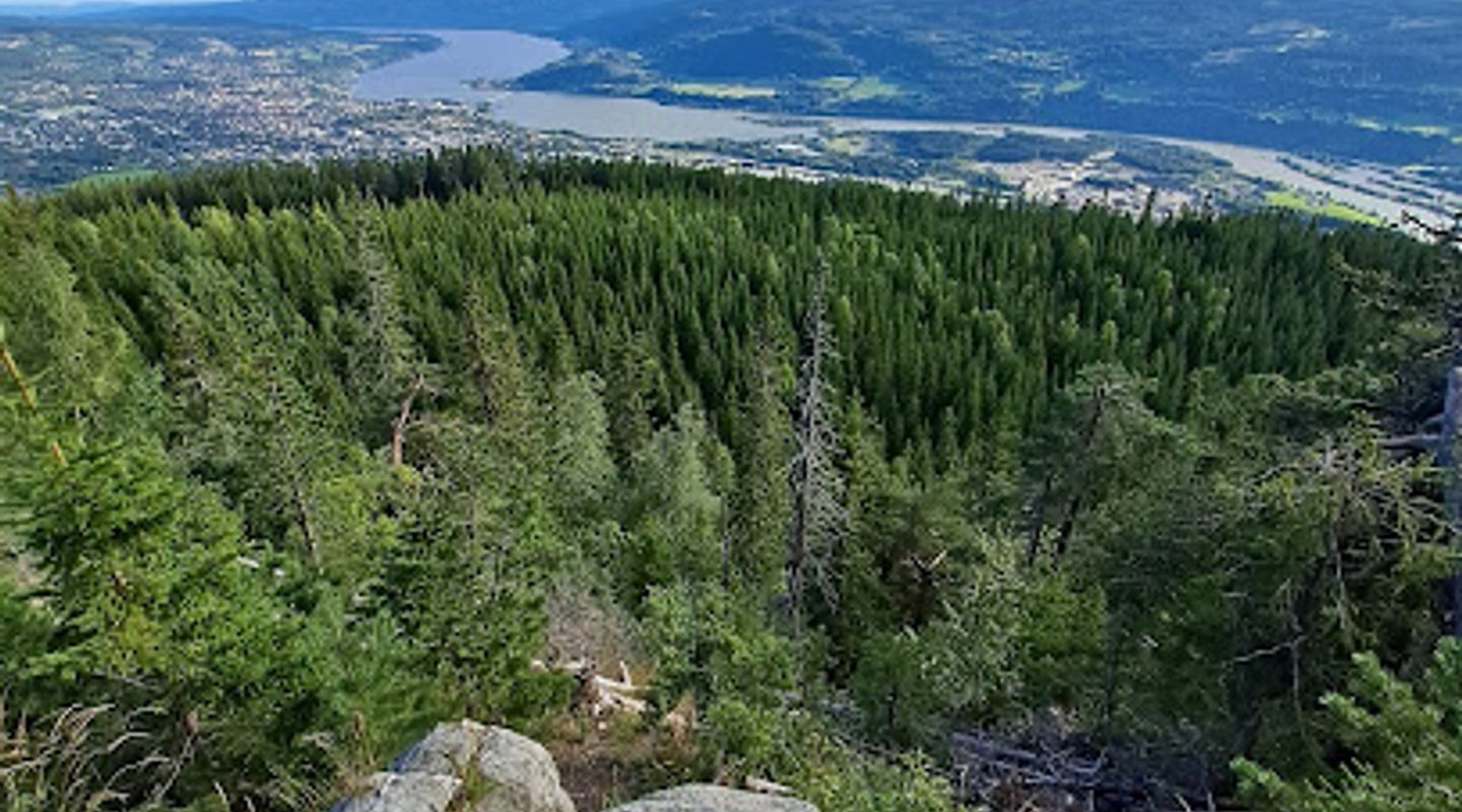 Background