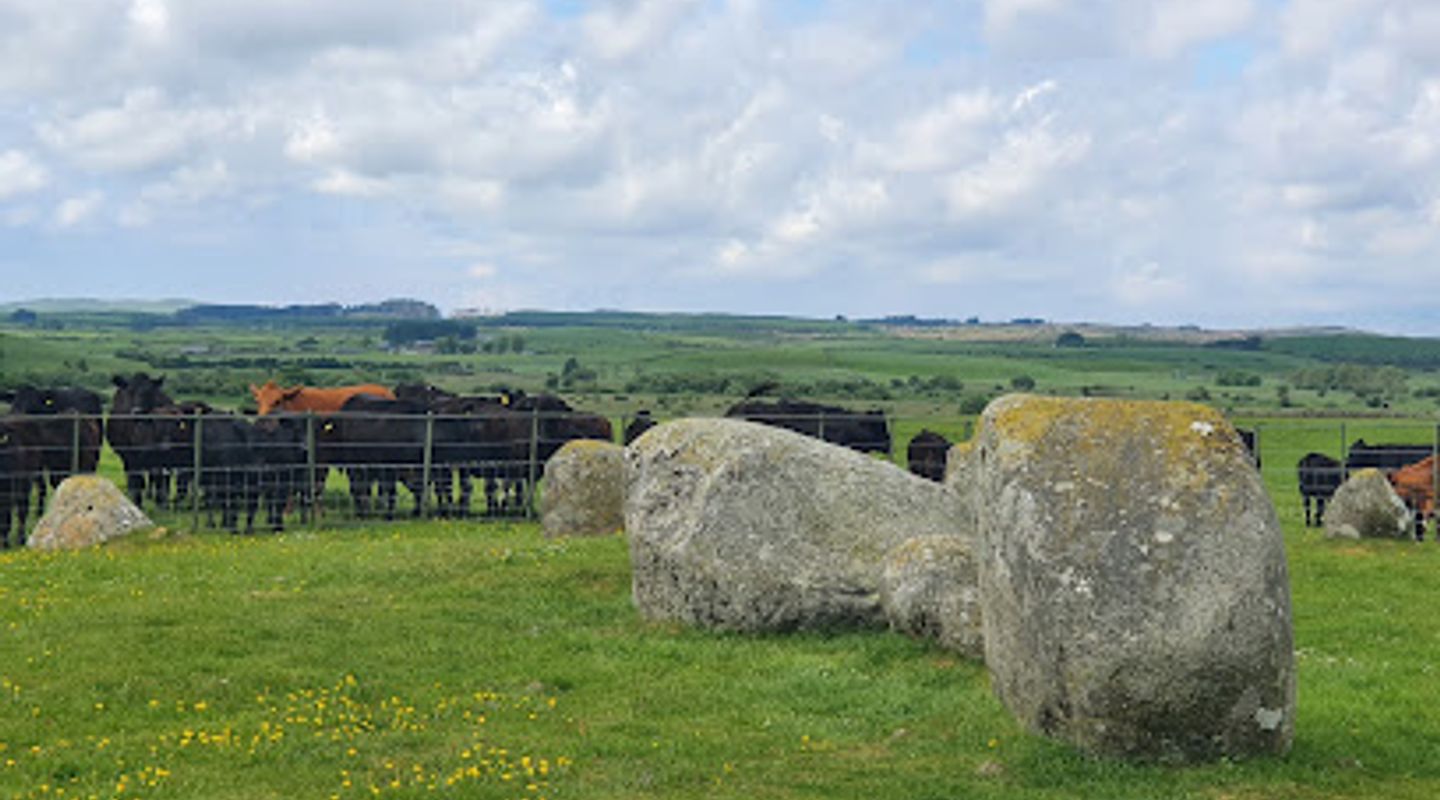 Torhouse Stone Circle
