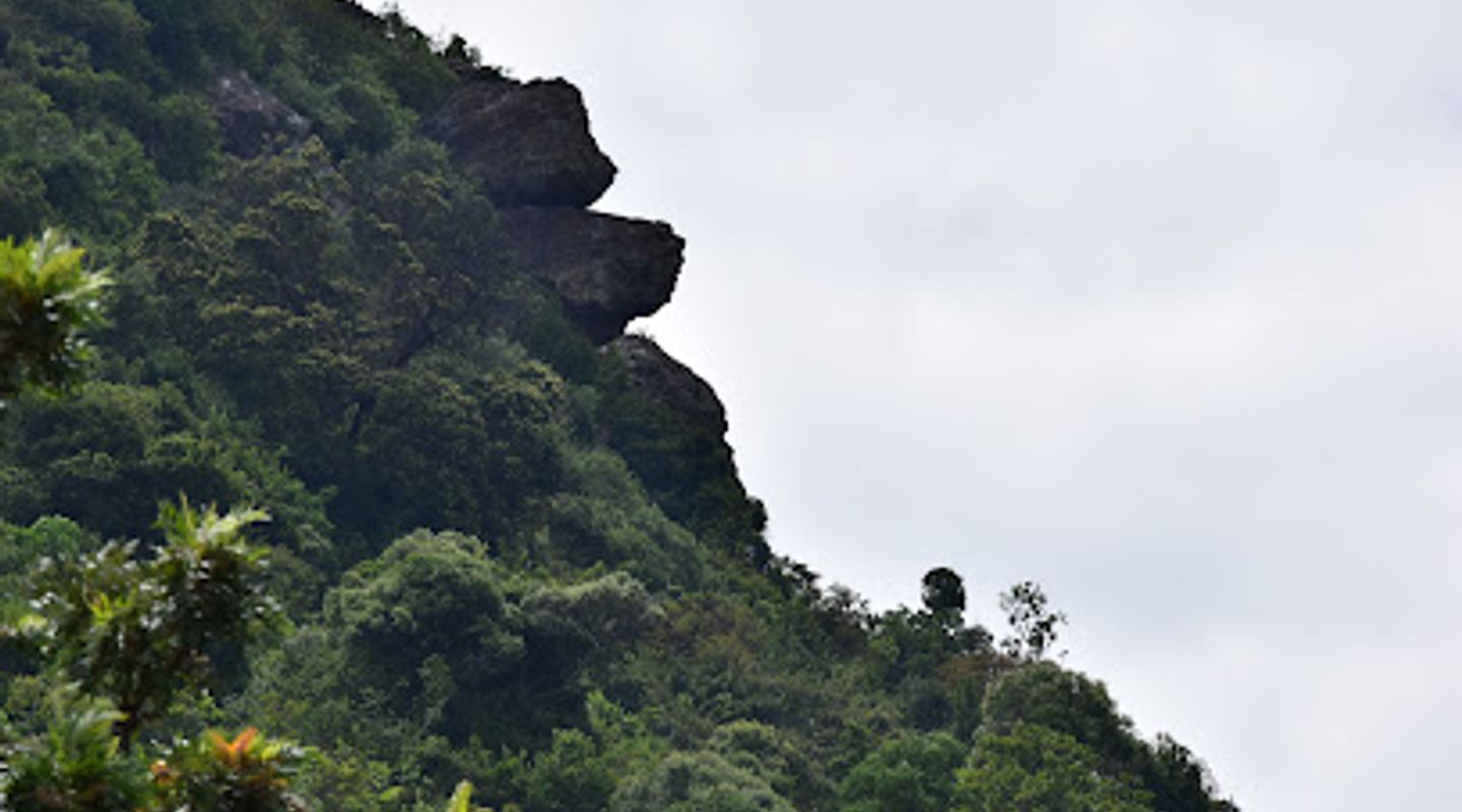 Background