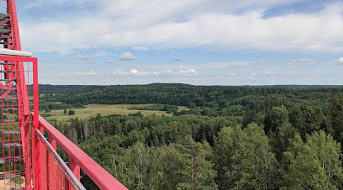 Background
