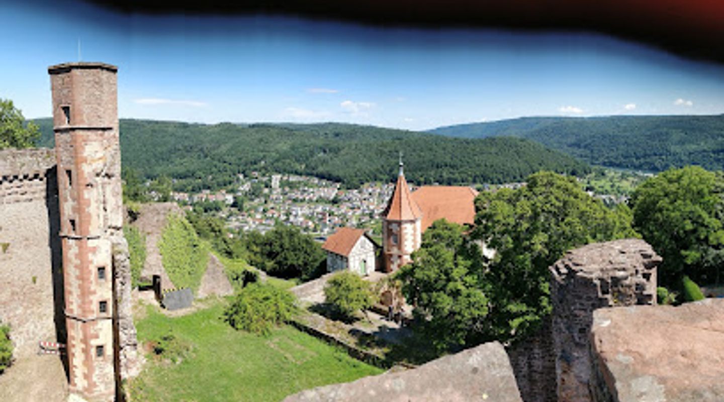 Dilsberg Castle