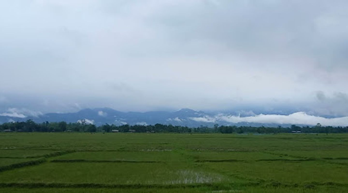 Background