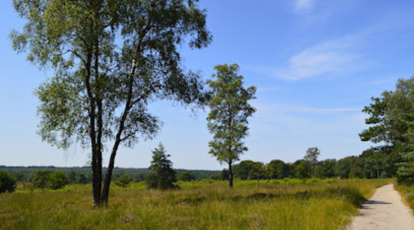 Schenkenshul