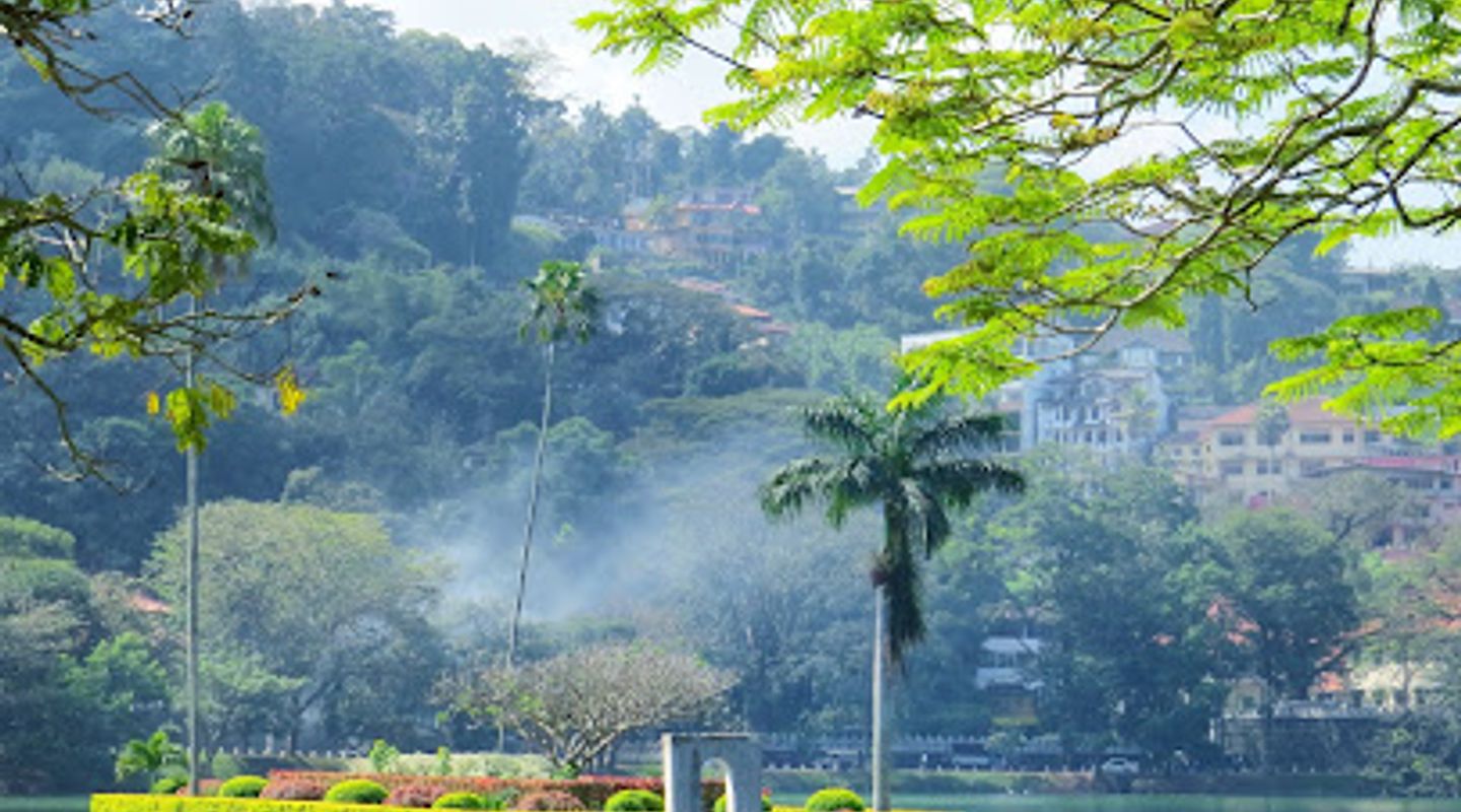 Background