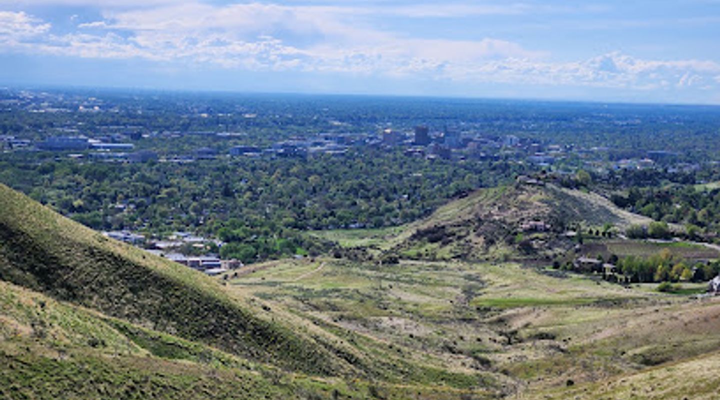 Background