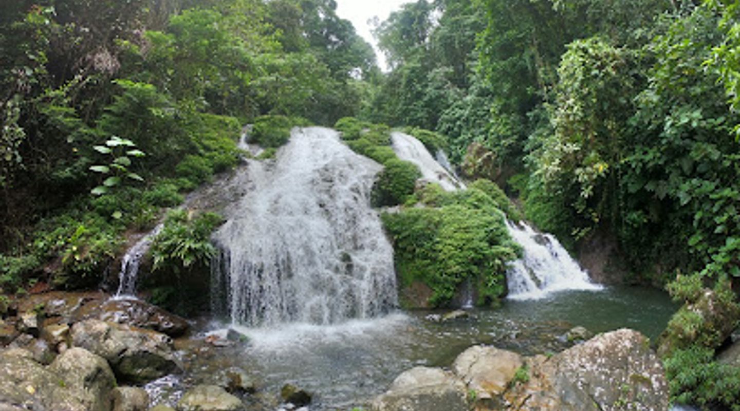 Background