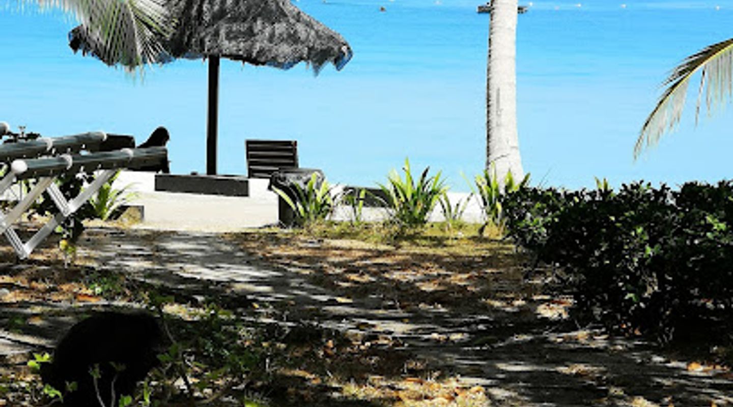 Background