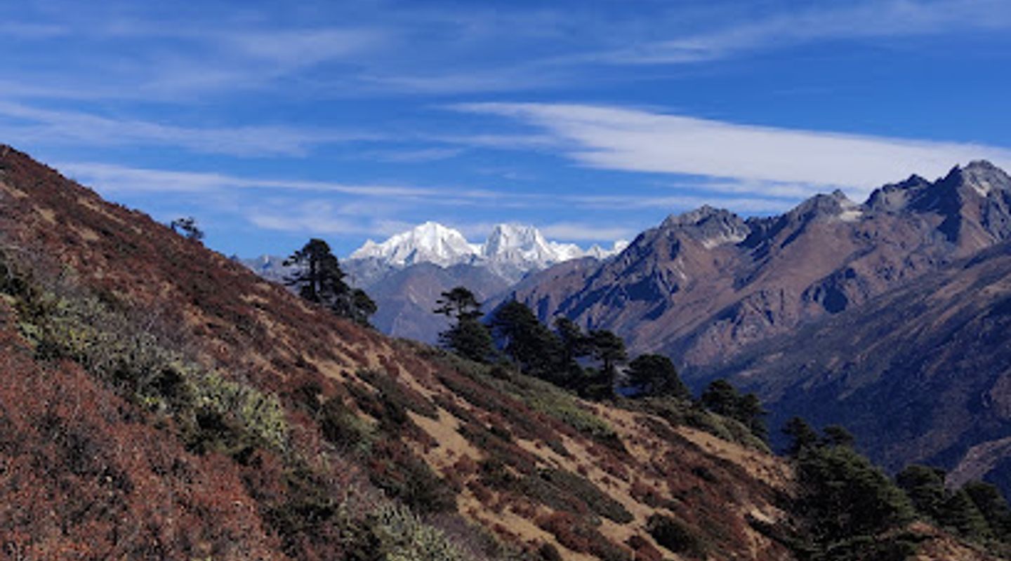 Background