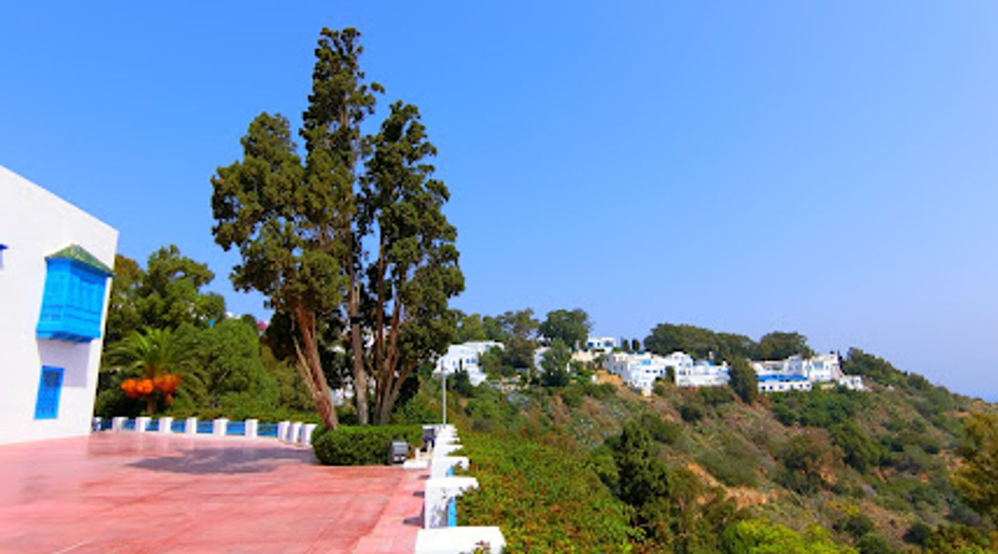 Background
