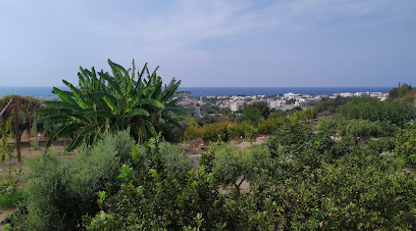 Background