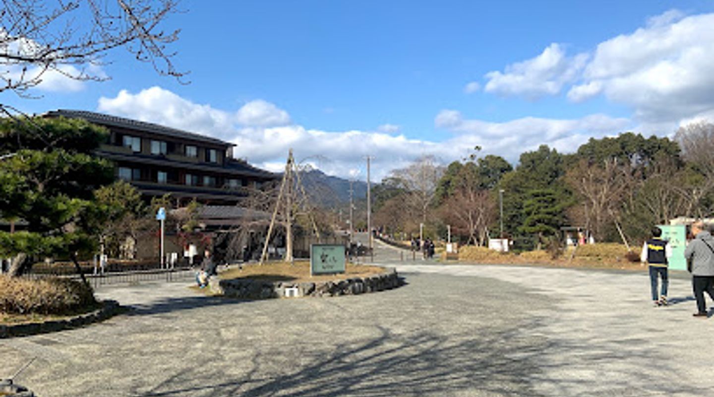 Arashiyama Bamboo Forest