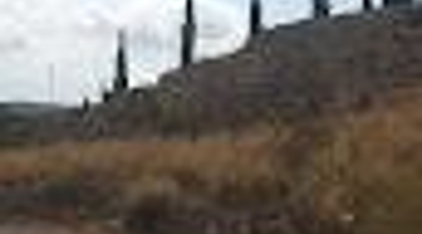 Muralla de Carlos I