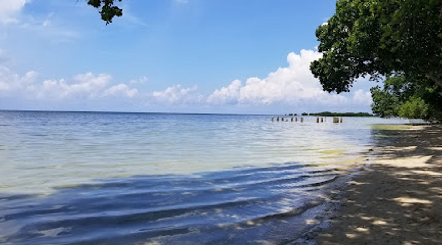 Background