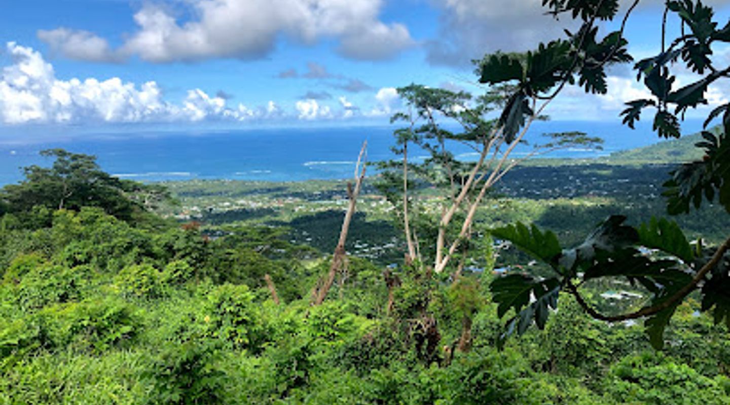 Background
